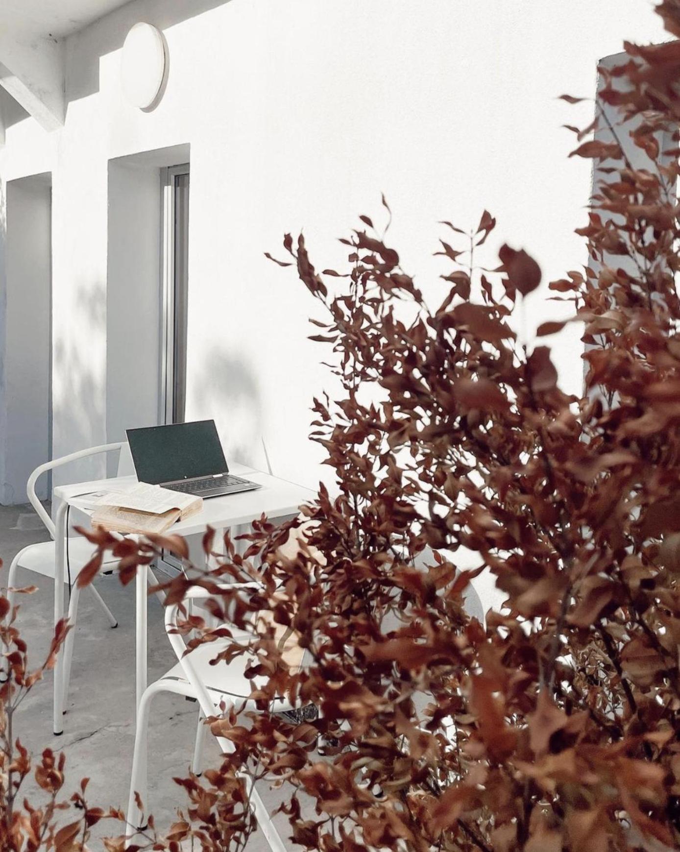 Cozy Lisbon Graca Apartment Екстериор снимка