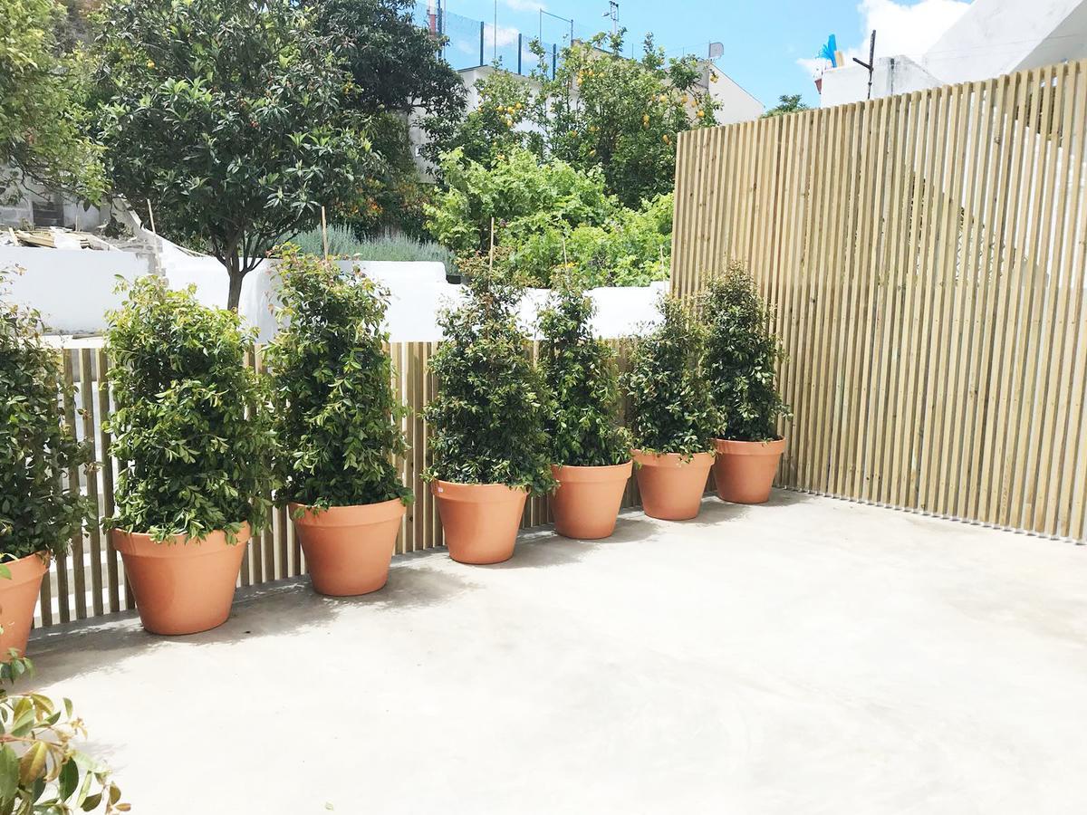 Cozy Lisbon Graca Apartment Екстериор снимка
